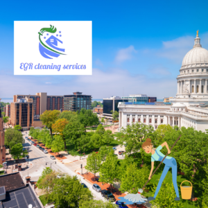 EGR CLEANING SERVICES