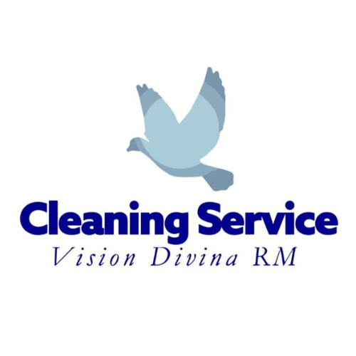 Cleaning Service Vision Divina RM